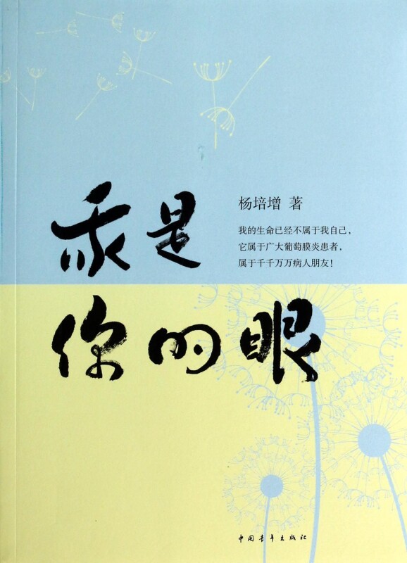 我是你的眼 正版书籍 木垛图书