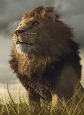 动物世界老虎狮子豹子海报制作寝室房间实木相框装饰画贴画G1808B