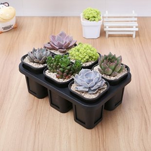 多肉花盆方万象盆托架大号4格小号6格加厚塑料花盆黑方盆透气接水