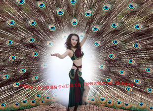 鸿舞衣绿30强烈感谢肚皮舞蹈明星倾情代表 百媚多娇