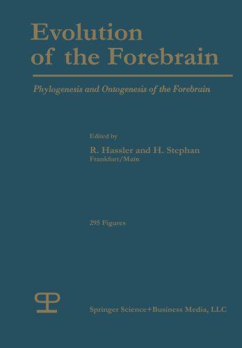 【预订】Evolution of the Forebrain: Phylogen...