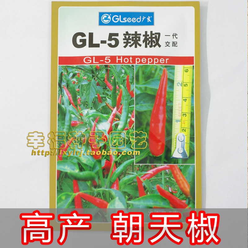 【广良GL-5 朝天椒】抗病丰产朝天椒种子 指天椒辣椒 极辣 产量高