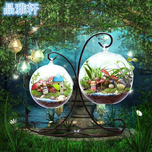 促销玻璃水培植物悬挂铁架吊球