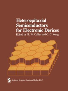 【预订】Heteroepitaxial Semiconductors for E...