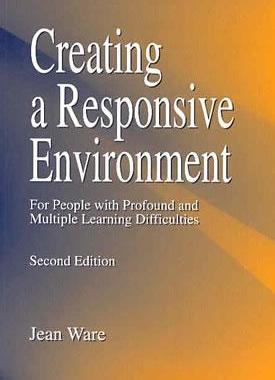 【预售】Creating a Responsive Environment