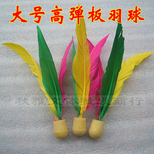 大号高弹性板羽球，结实耐用，颜色艳丽，飞行效果好
