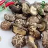 Товары от 红苹果爱之家