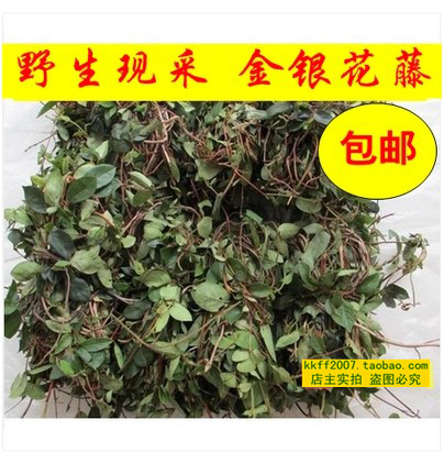 新鲜金银花藤 忍冬藤 宝宝洗澡 新鲜现采1000克