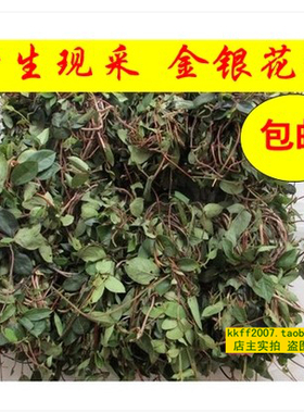 新鲜金银花藤 忍冬藤 宝宝洗澡 新鲜现采1000克