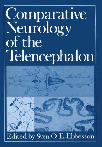 【预售】Comparative Neurology of the Telencephalon