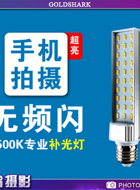 专业摄影灯泡手机无频