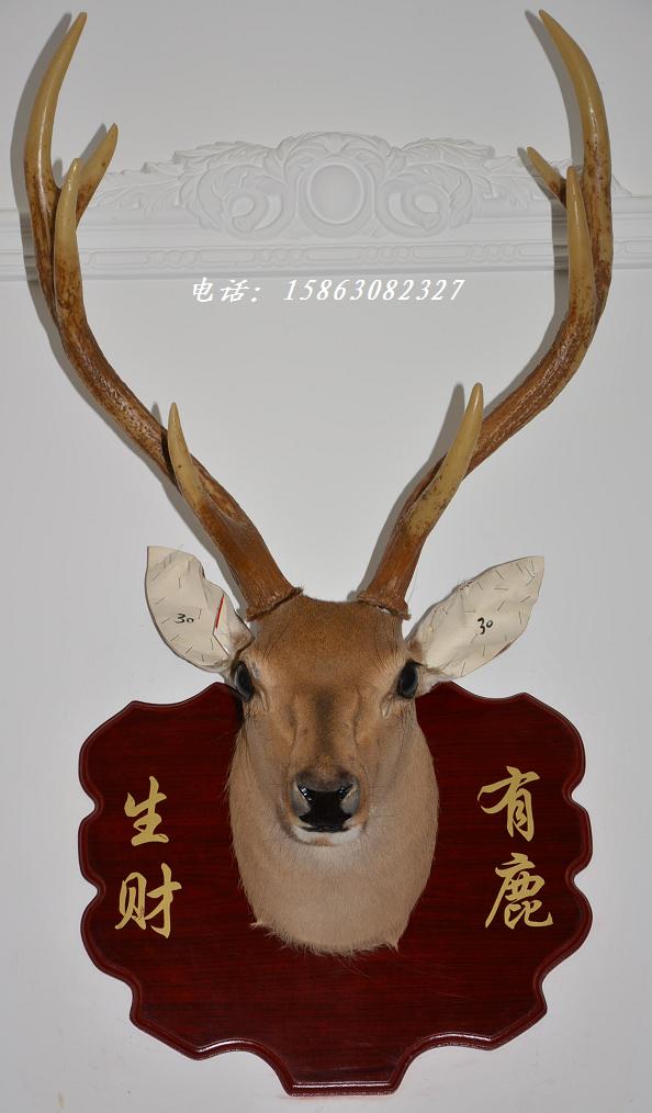 标本美式乡村风会所开业礼物墙饰