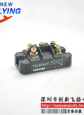 75L6P43T功率模块电源模块SUNYUANSZ一级代理全新原装可直拍