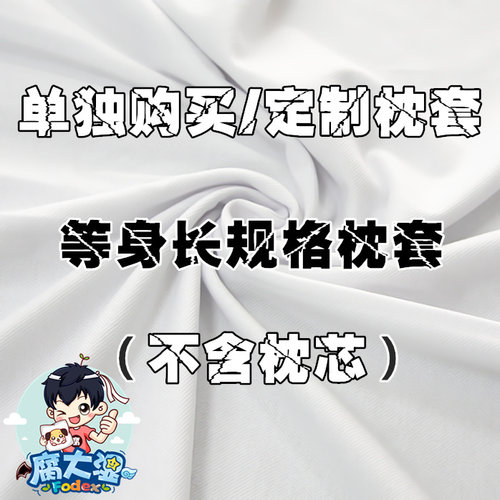 DIY来图定制订做等身抱枕明星动漫人形玩偶长条logo双人枕头枕套