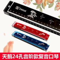 Swan 24 hole polyphonic harmonica in C key adult students playing beginner stressed harmonica