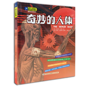 奇妙的人体