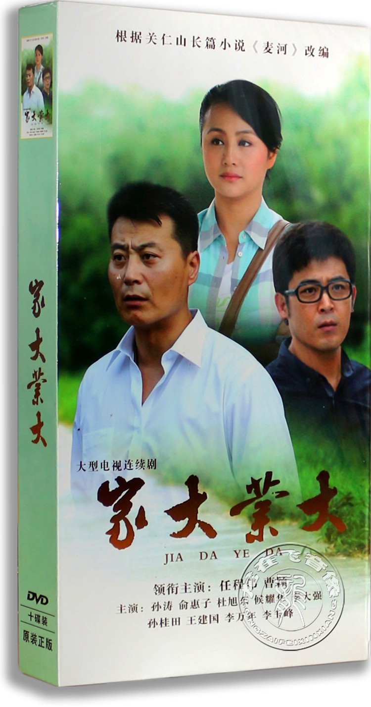 正版电视剧dvd碟片家大业大10dvd高清珍藏版任程伟 曹颖 孙涛