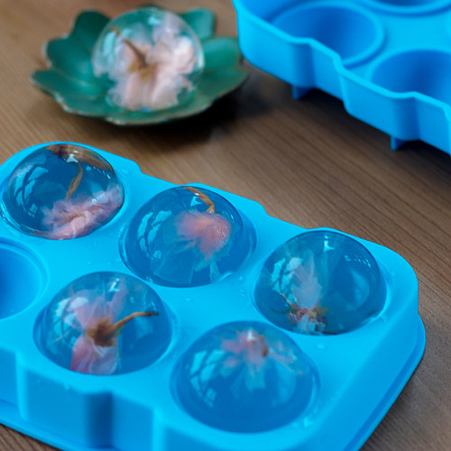硅胶模具水信玄饼果冻烘焙四孔