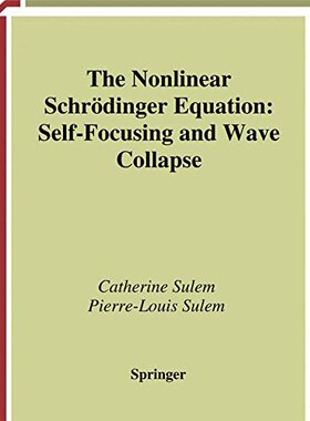 【预售】The Nonlinear Schrodinger Equation: Self-Focus...