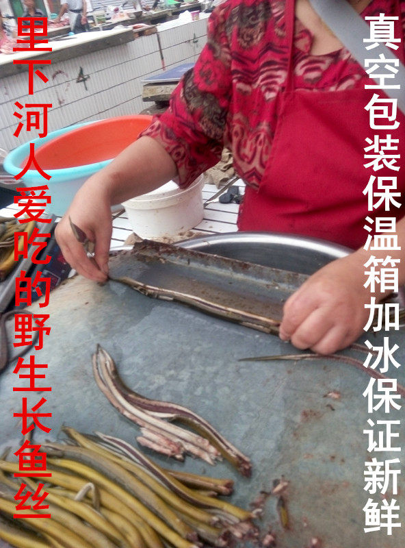 兴化黄鳝新鲜黄鳝长鱼 现杀黄鳝丝 长鱼丝一份是半斤冷冻发货