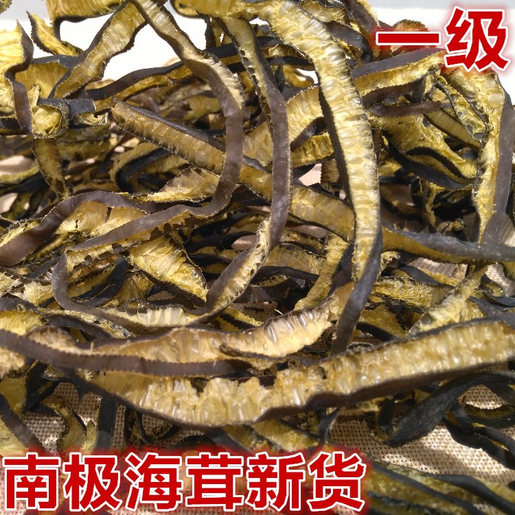 海茸丝海松茸海笋冰笋海龙筋