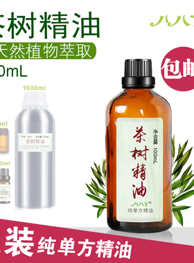 茶树精油100ml澳洲 99%纯植物单方精油Camellia sinensis山茶科