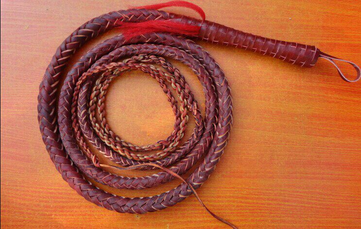 Article sports equestres - Ref 1381411 Image 1