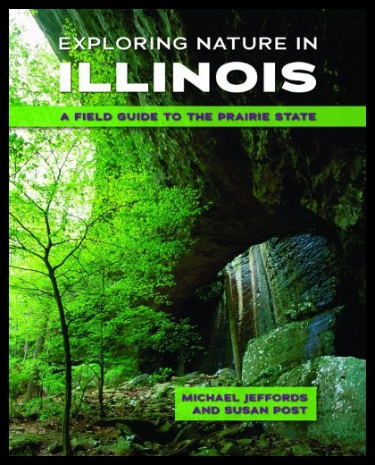 美国库房发货，通常付款后5-8周到货！