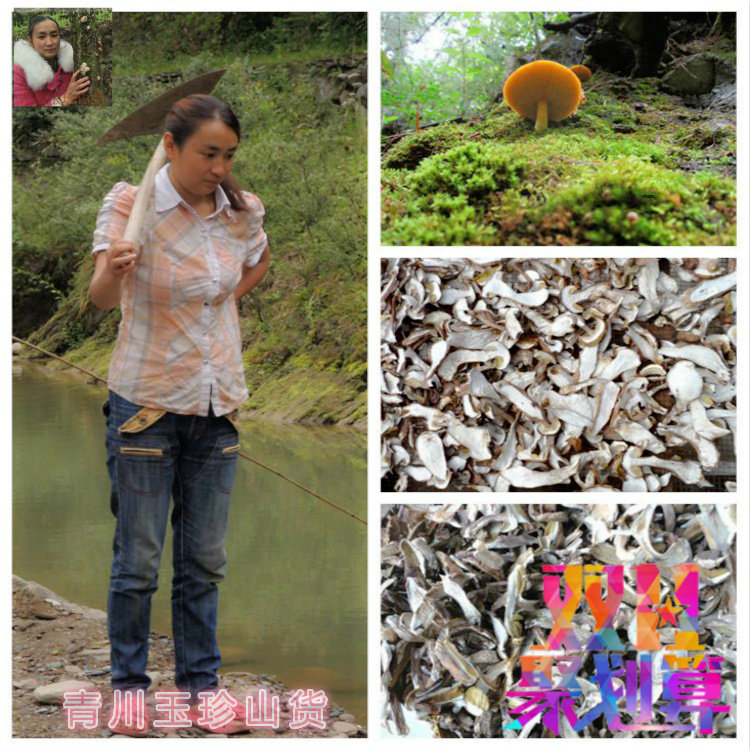 【牛肝菌】野生菌 牛肝菌150/g 蘑菇 香菇南北 干货 土特产山货