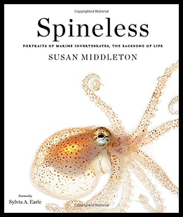 【预售】Spineless: Portraits of Marine Invertebrates, the