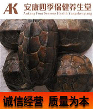 中药材 龟板 龟甲 下甲 乌龟壳 乌龟板 天然无加工500克 包邮