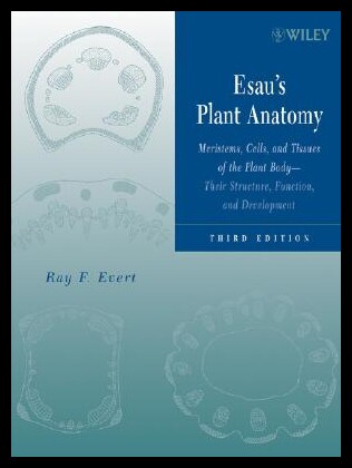 【预售】Esau's Plant Anatomy: Meristems, Cells, and Tis