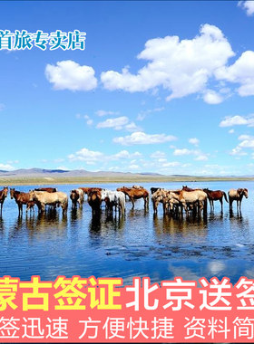 蒙古旅游签证全国送签