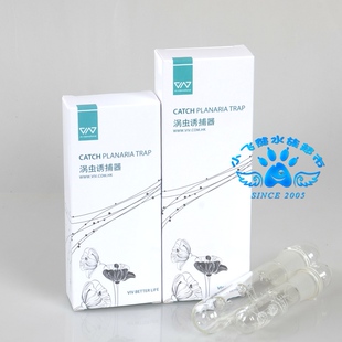 香港VIV 诱捕器 2孔 3孔 玻璃涡虫捕捉器