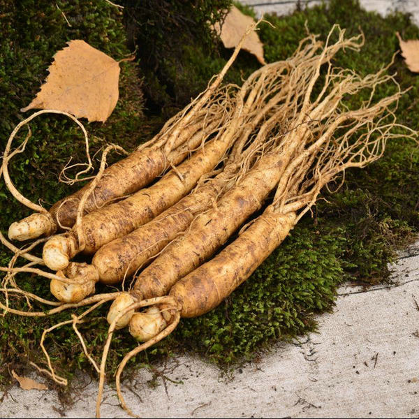 池宝 东北新鲜带土人参 25g 优惠券折后￥6.9包邮（￥21.9-15）