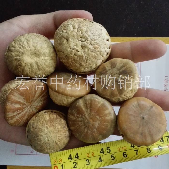风流果 果天竺粒益子龟头子掉藤果 500克包邮