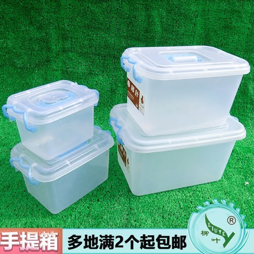 柳叶整理盒收纳透明手提小号箱