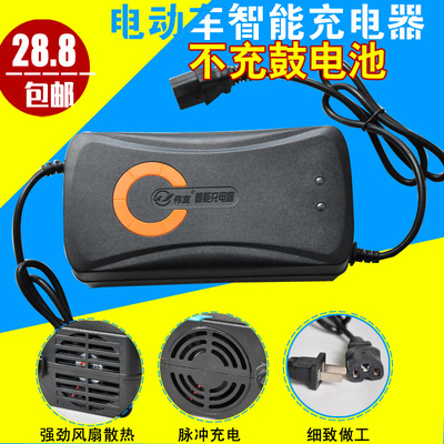 电动车充电器48V12AH48V20AH60V72V新日爱玛雅迪王派捷马立马超威