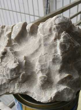 信江赣江乐安河天然手玩件黄蜡石黄龙玉长江水冲图案画面造型奇石