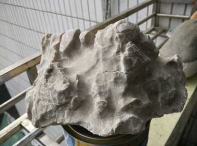 天然黄龙玉奇石手玩件