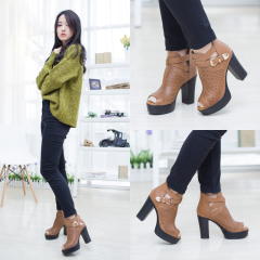 Charming love spring of 2015 is new coarse fish mouth with thick-soled high heel shoes with short tube fashion women's shoes