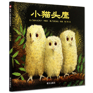 小猫头鹰：信谊精选图画书   0~3~6岁儿童绘本  亲子共读幼儿故事书籍