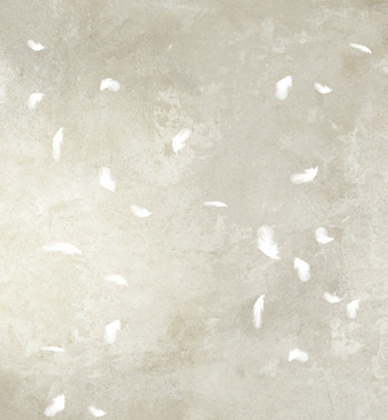 无缝布影楼摄影防水PP纸拍照背景纸画意主题挂拍幕布L-729羽毛