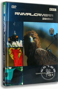 正版BBC科学探索纪录片DVD碟 动物摄影机2DVD 中英配音 中英字幕