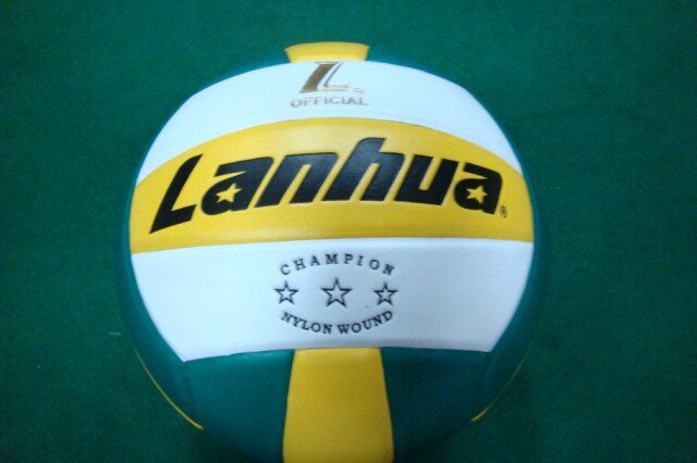 Ballon de volley - Ref 2016068 Image 1