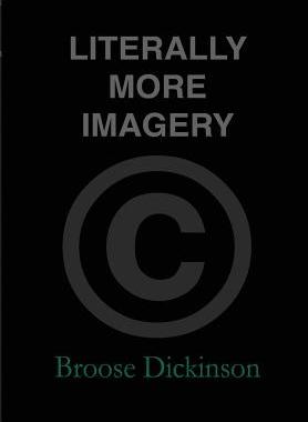 【预售】Literally More Imagery