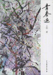 青春迹 彤 中国戏剧 情感小说 书籍