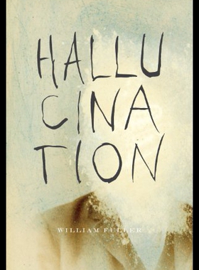 【预售】Hallucination