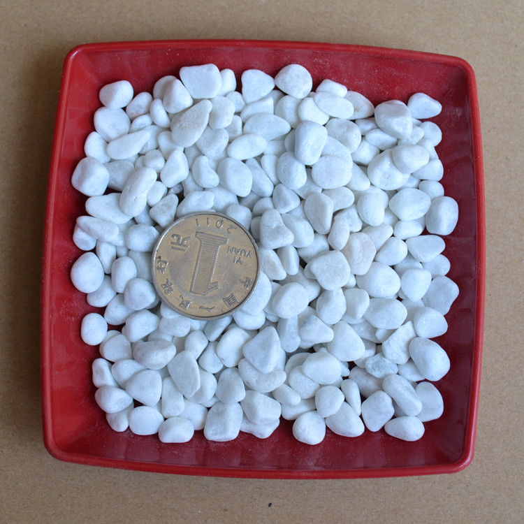 白色小石子 2元100克水培介質 花盆裝飾品 用品 鋪面石子在類目 鮮花速遞/花卉仿真/綠植園藝, 園藝用品, 其它園藝用品中 - 來自Buy2taobao.com提供專業的淘寶代購服務