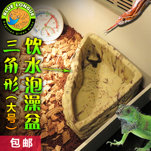 爬虫玉米球蟒澡盆 绿水龙犀牛绿lie蜥蜴角蛙水盆饮水器泡澡盘